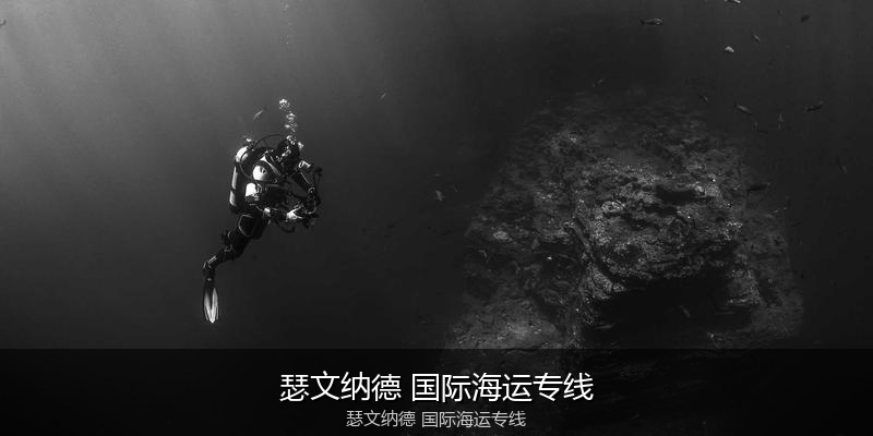 中国到澳洲海运专线服务优势与价格指南