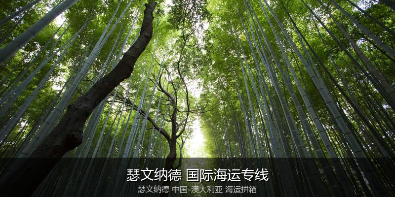 中澳海运跨境电商物流解决方案